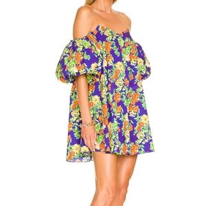 Cute Caroline Constas Mini Floral Dress ( brand new)